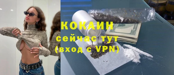 ПСИЛОЦИБИНОВЫЕ ГРИБЫ Аркадак