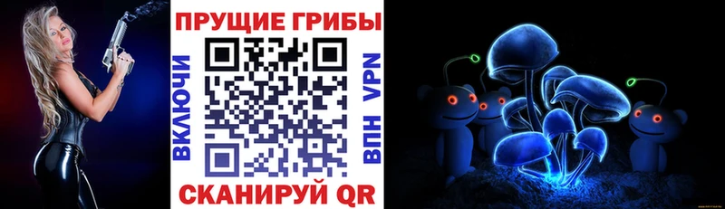 Псилоцибиновые грибы Cubensis  Заполярный 