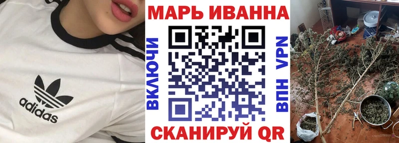 Канабис сатива  Заполярный 